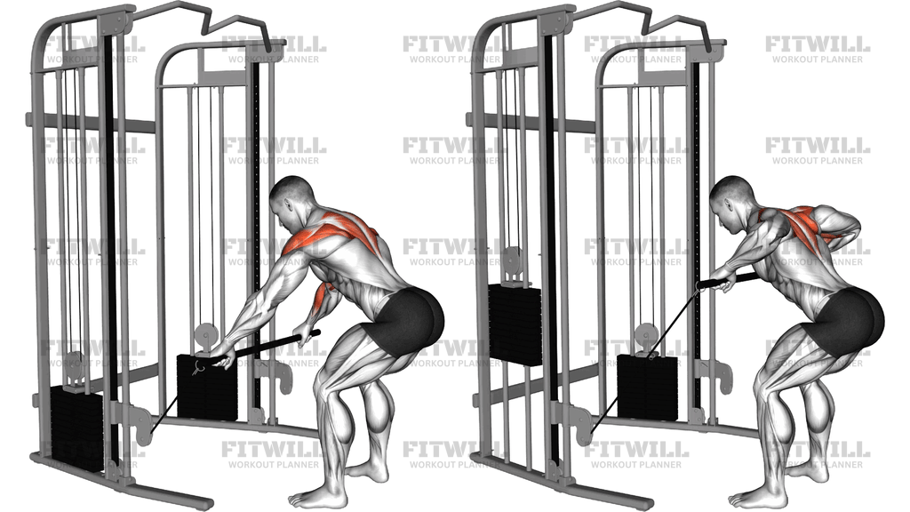Cable Bent Over Contralateral Rear Delt Row