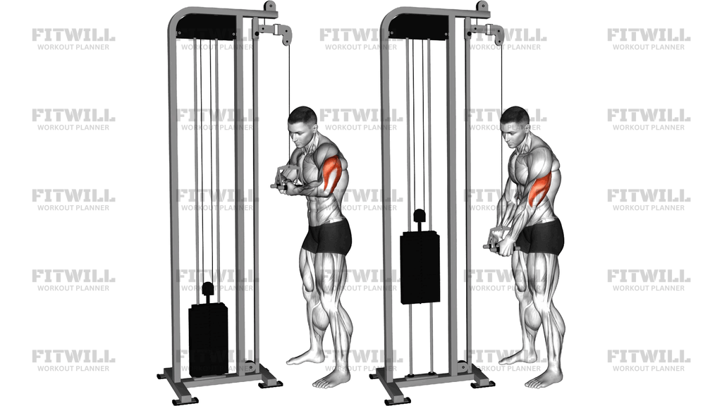 Cable Standing Tate Press (V Bar)