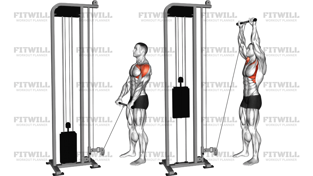 Cable Full Front Raise