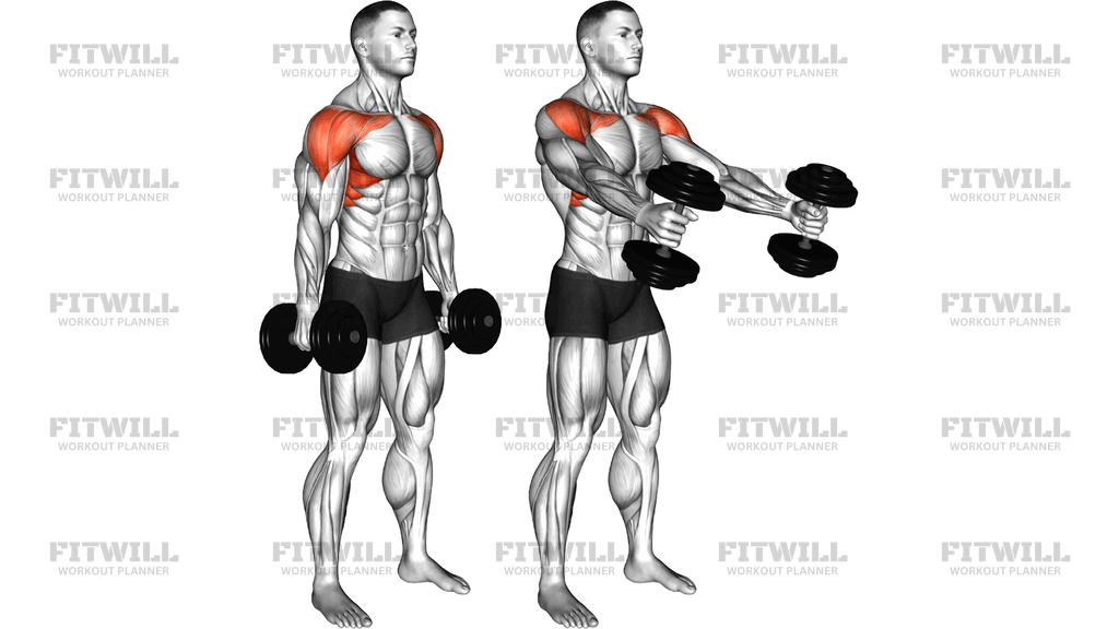 Dumbbell Standing Neutral Grip To Pronated Grip Fr