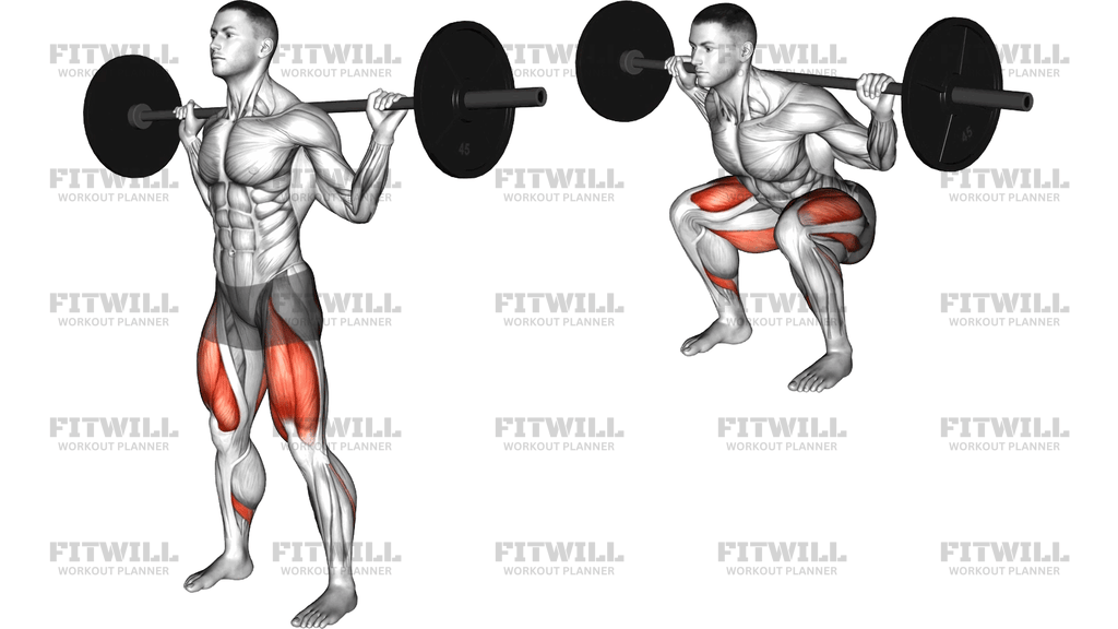 Barbell Pulse Squat