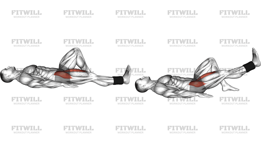 Weighted Lying Supine Straight Knee Raise