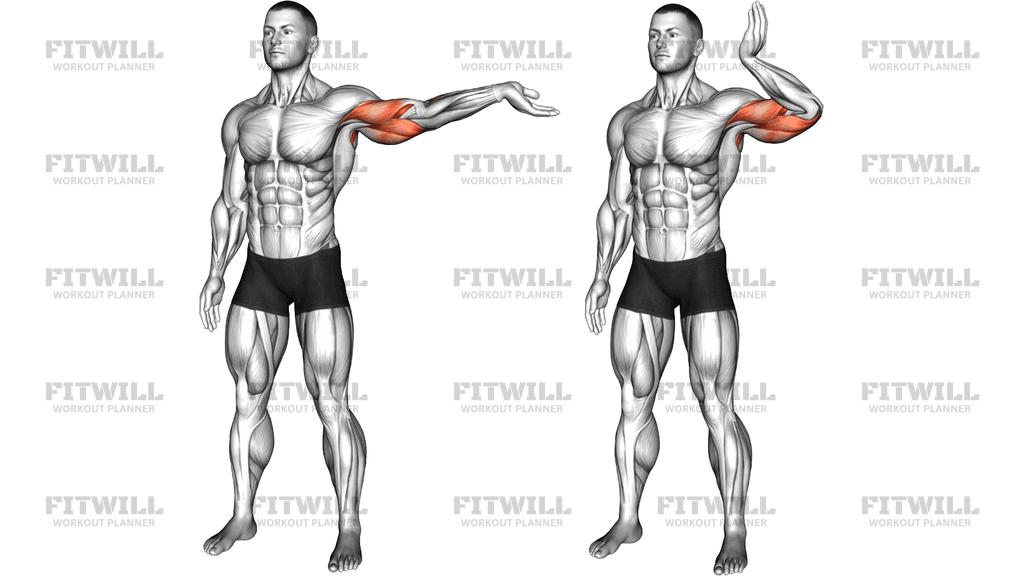 Standing Median Nerve Mobilization