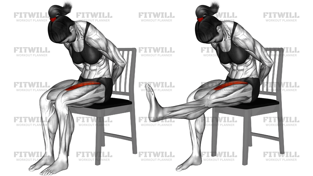 Sitting Sciatic Nerve Mobilization
