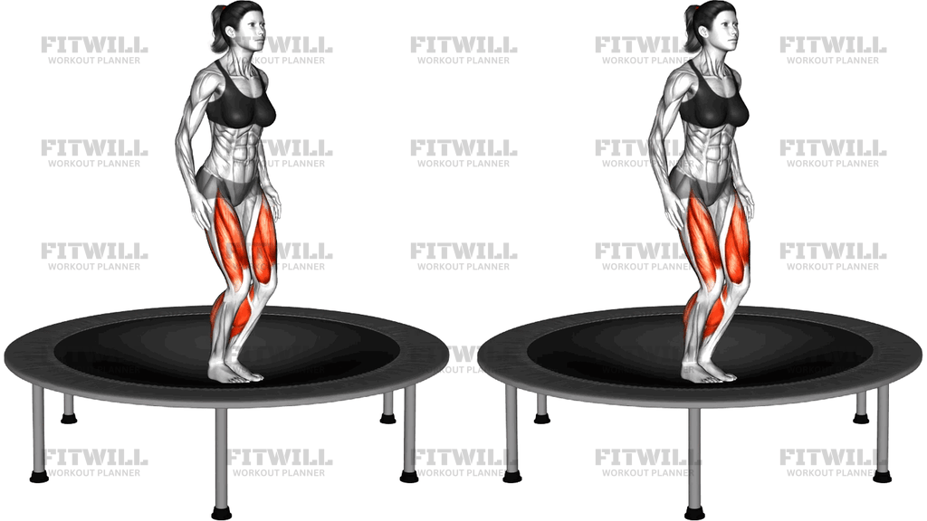 Elastic Bed Jumping