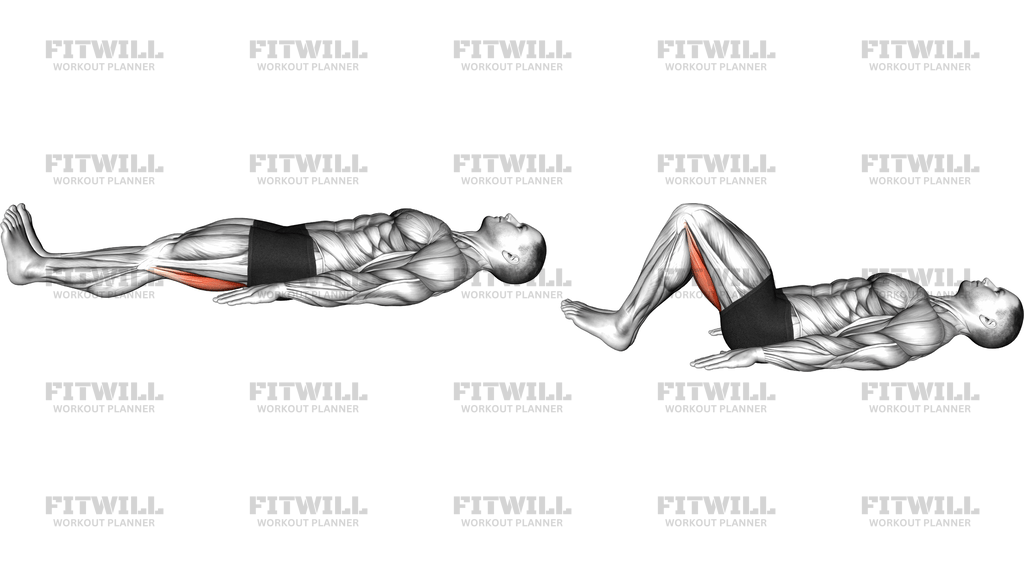 Lying Isometric Hamstring Bridge