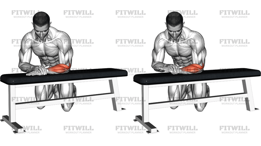 Isometric Wrist Extension