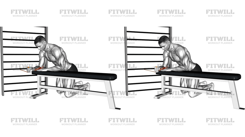 Resistance Band Wrist Flexion