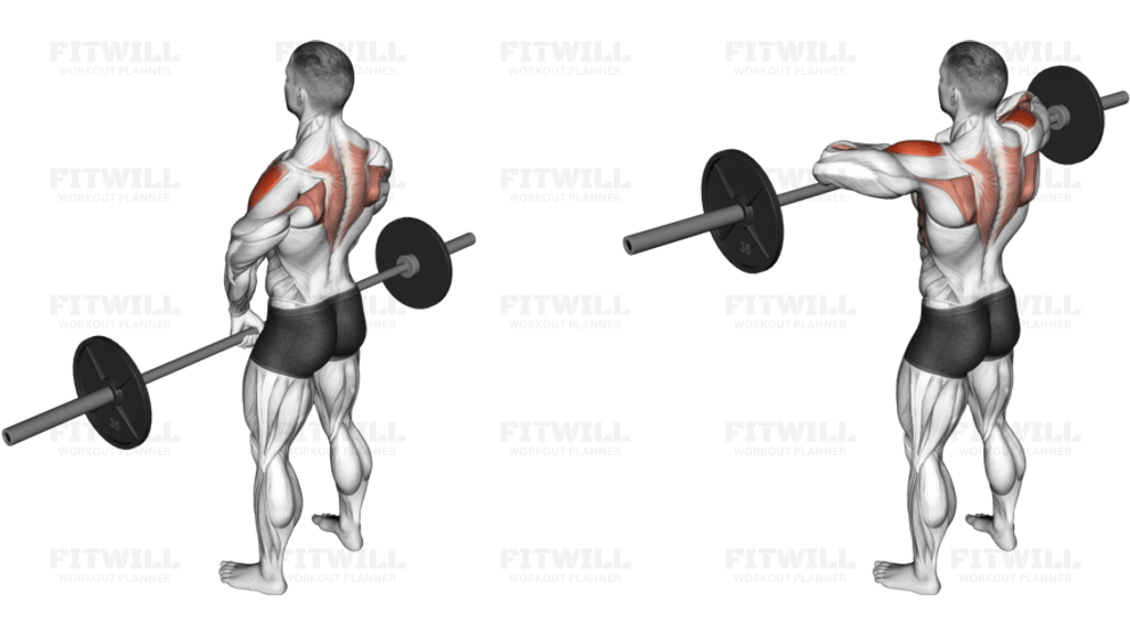 Barbell Upright Row