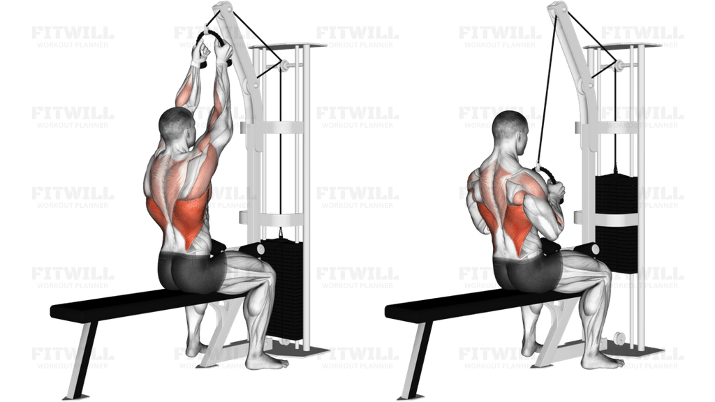 Cable Rope Lat Pulldown