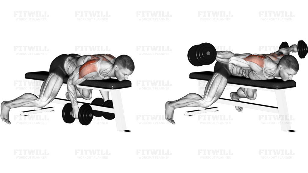 Dumbbell Lying Rear Lateral Raise