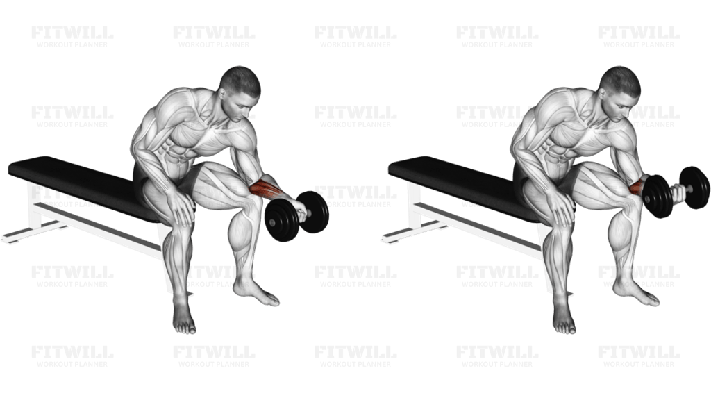 Dumbbell One Arm Wrist Curl