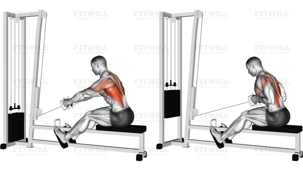 Cable Elevated Row