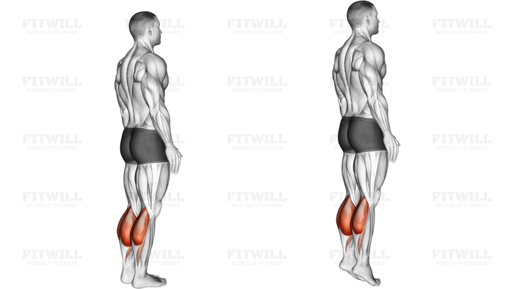 Standing Calf Raise