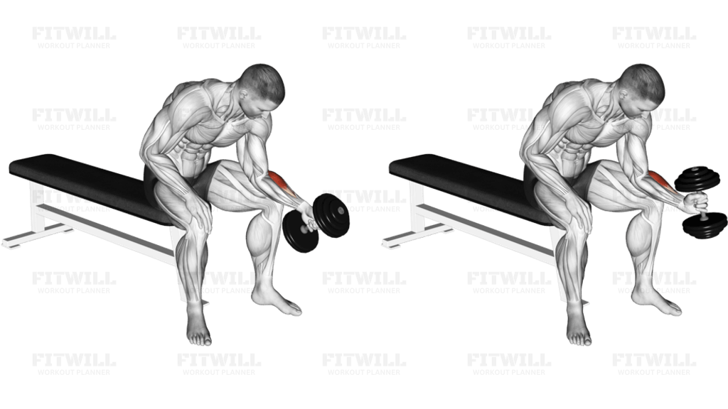 Dumbbell One Arm Seated Neutral Wrist Curl