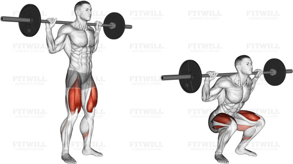 Barbell High Bar Squat