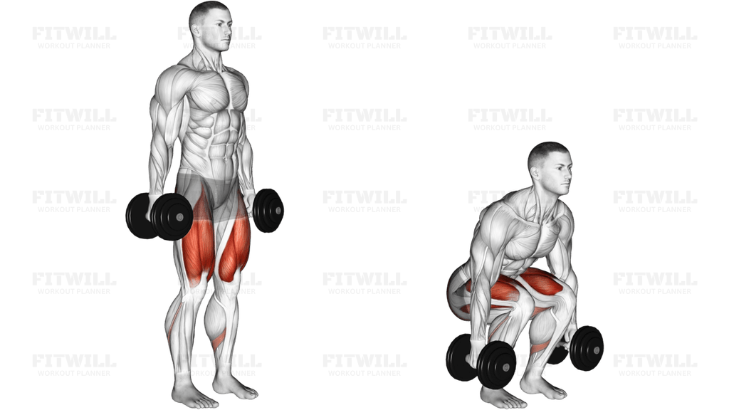 Dumbbell Squat