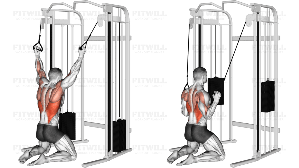 Cable Kneeling Parallel Grip Lat Pulldown