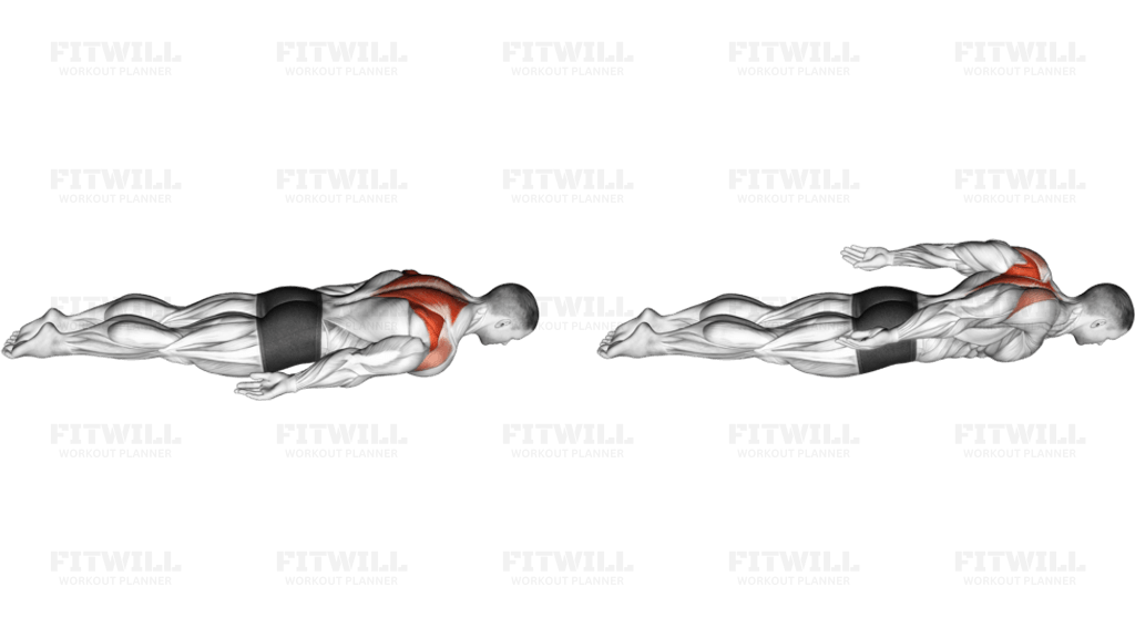 Bodyweight Lying Pulse Row