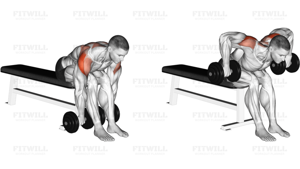 Dumbbell Seated Bent Over Rear Delt Row