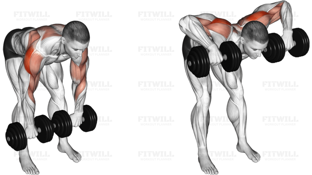 Dumbbell Bent Over Face Pull