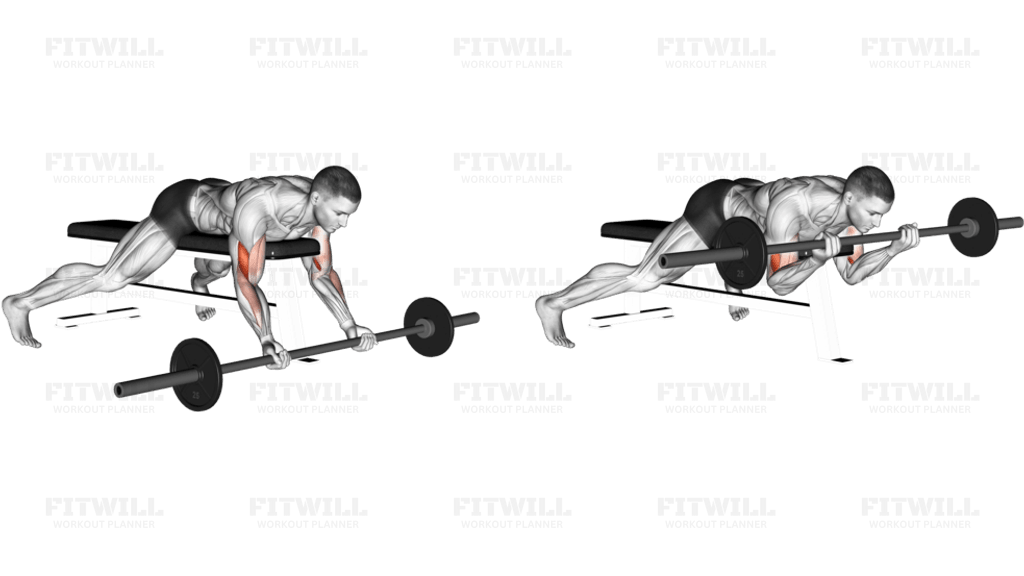 Barbell Lying Preacher Curl