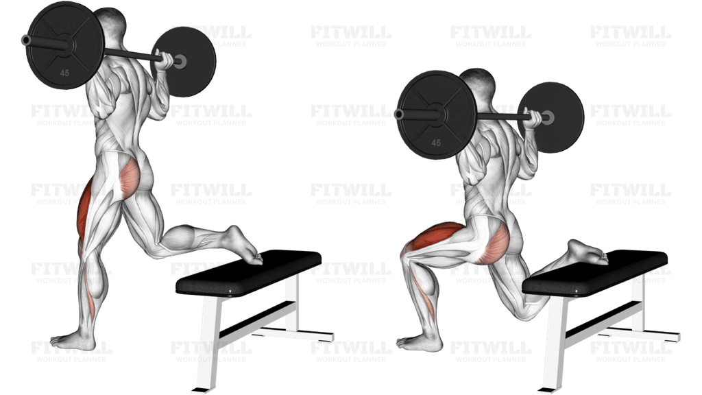 Barbell One Leg Squat