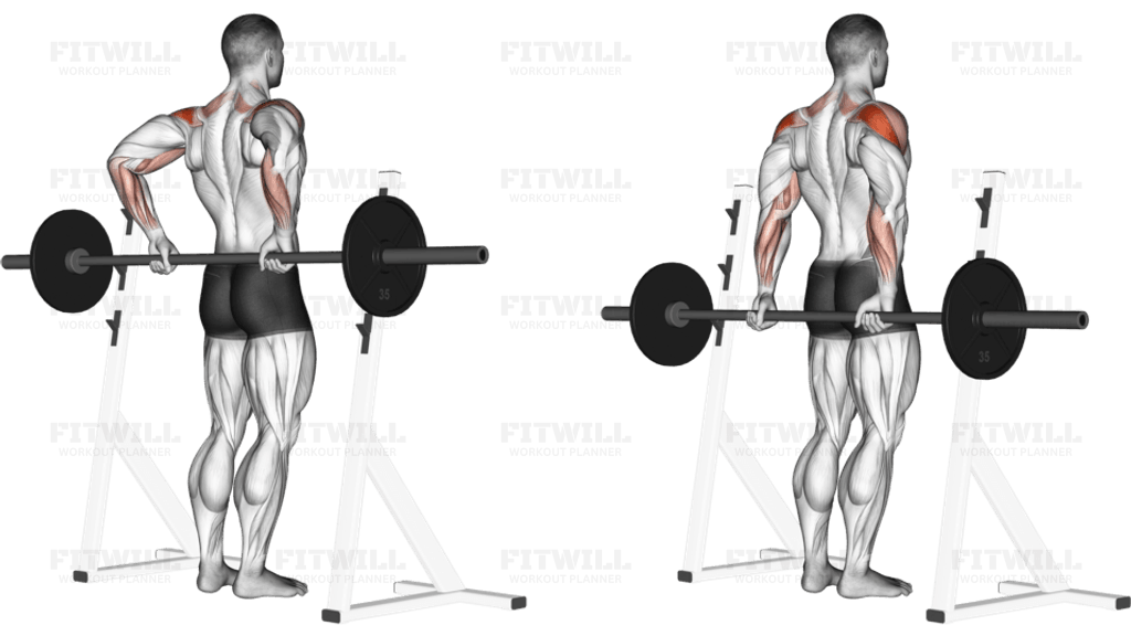 Barbell Rear Delt Raise