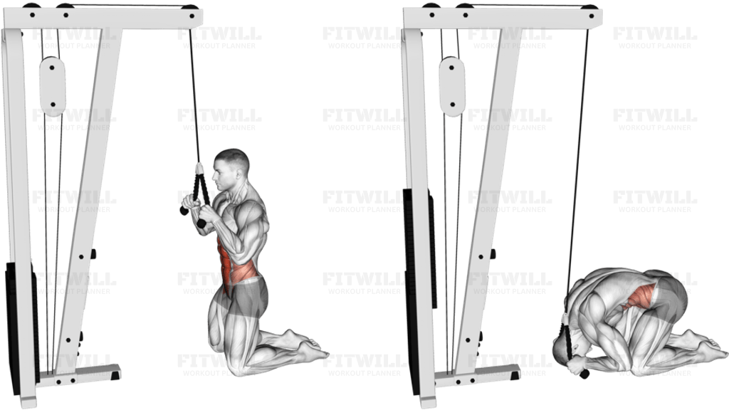 Cable Kneeling Crunch