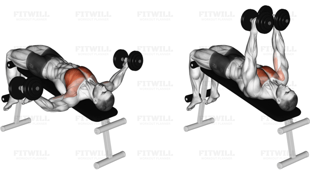 Dumbbell Decline Fly