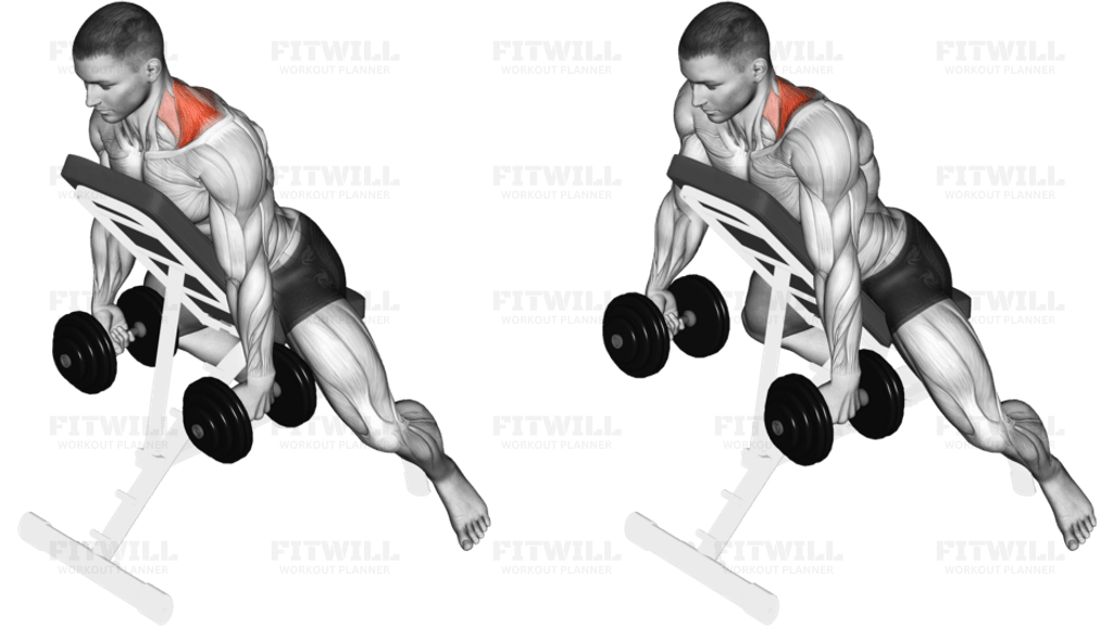 Dumbbell Decline Shrug