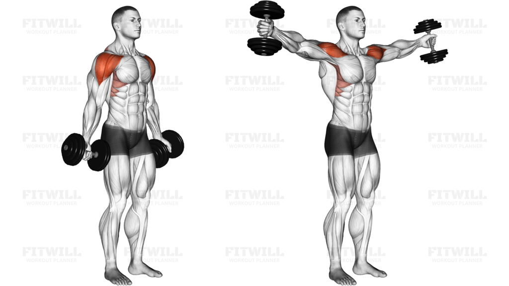 Dumbbell Full Can Lateral Raise