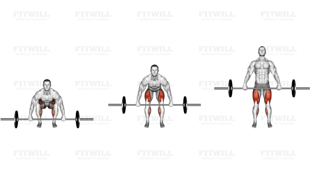 Barbell Deadlift front view