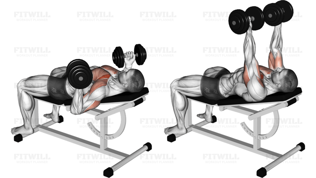 Dumbbell Incline reverse-grip 30 degrees bench press