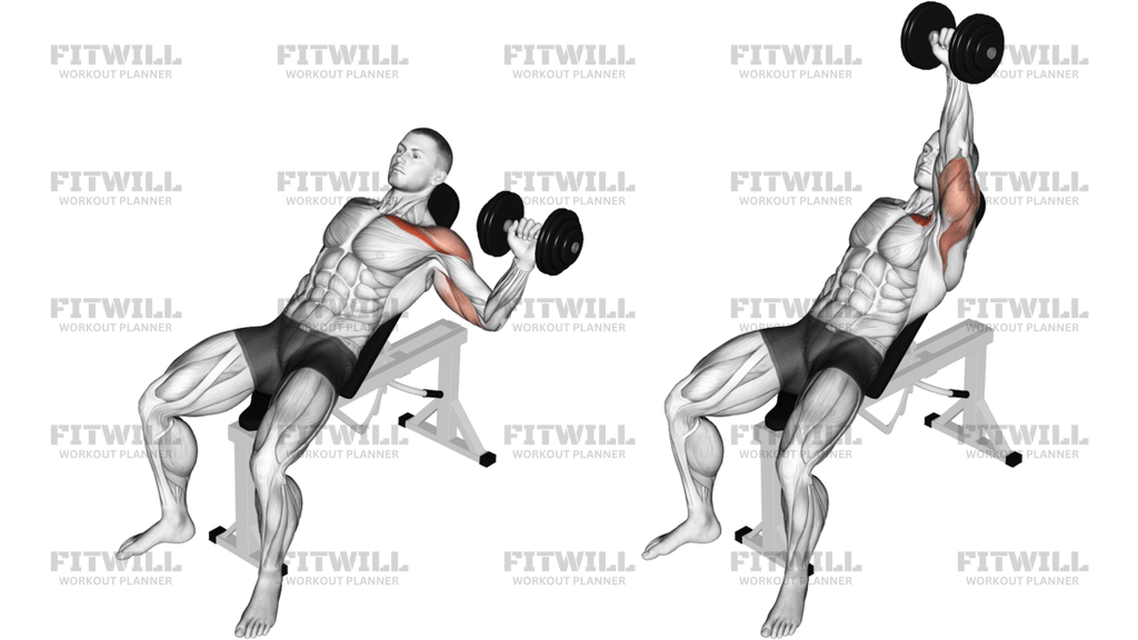 Dumbbell One Arm Incline Chest Press: Guide, Techniques, Benefits, How ...