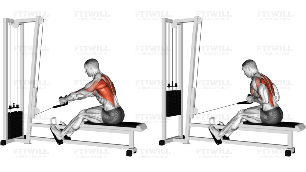 Cable Rope Elevated Seated Row