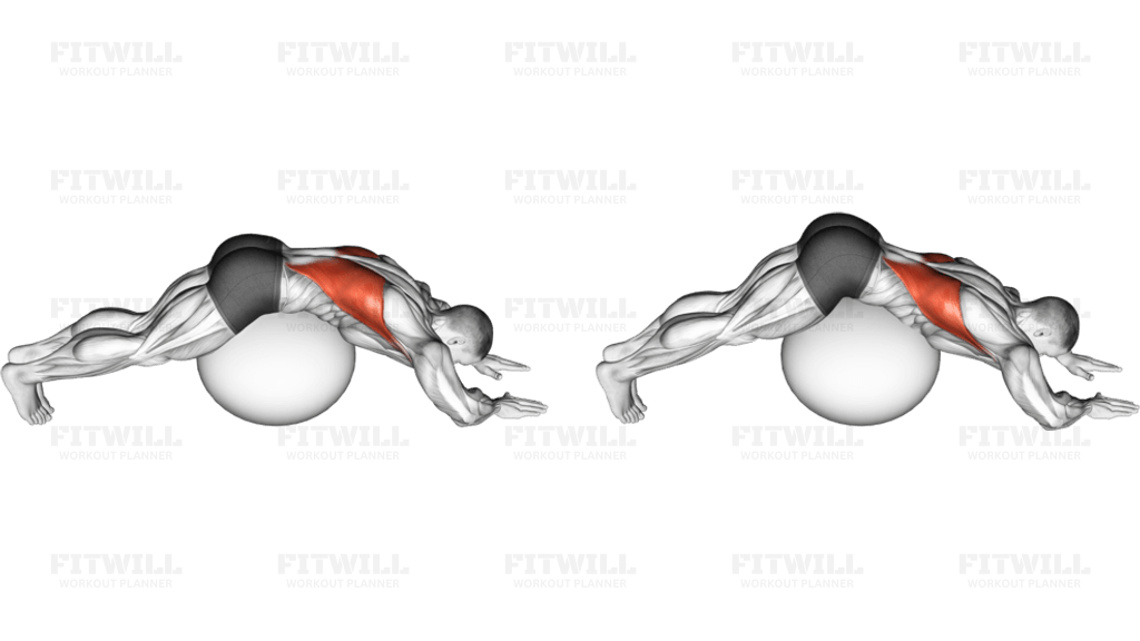 Exercise Ball Lower Back Stretch (Pyramid)