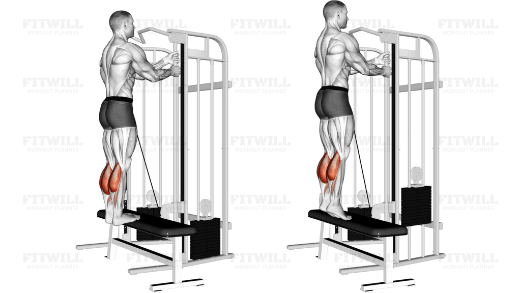 Cable Standing Calf Raise