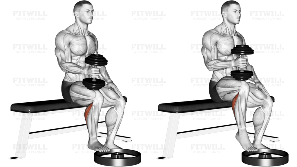 Dumbbell Seated One Leg Calf Raise - Hammer Grip