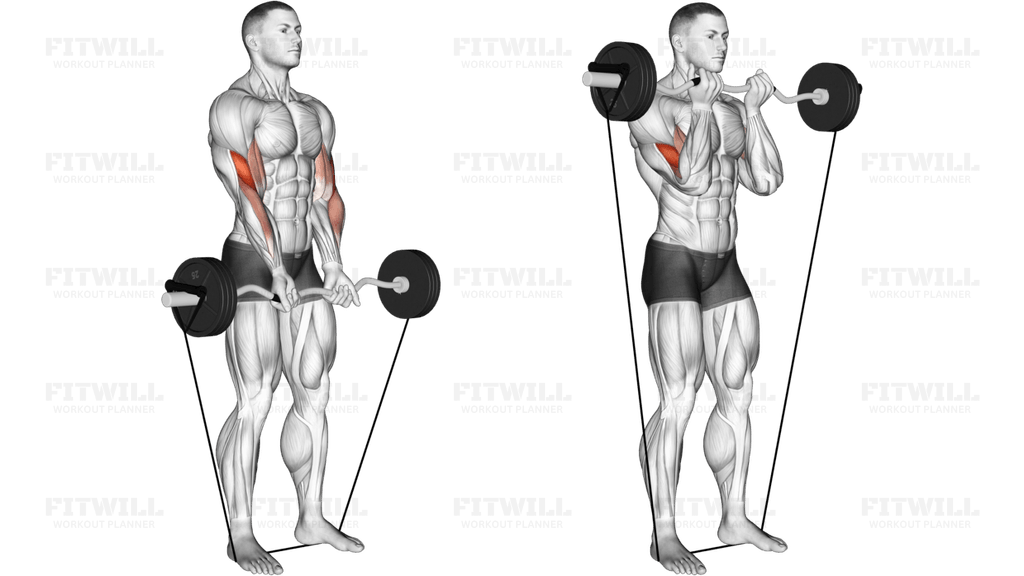 Band EZ Barbell Close-grip Curl