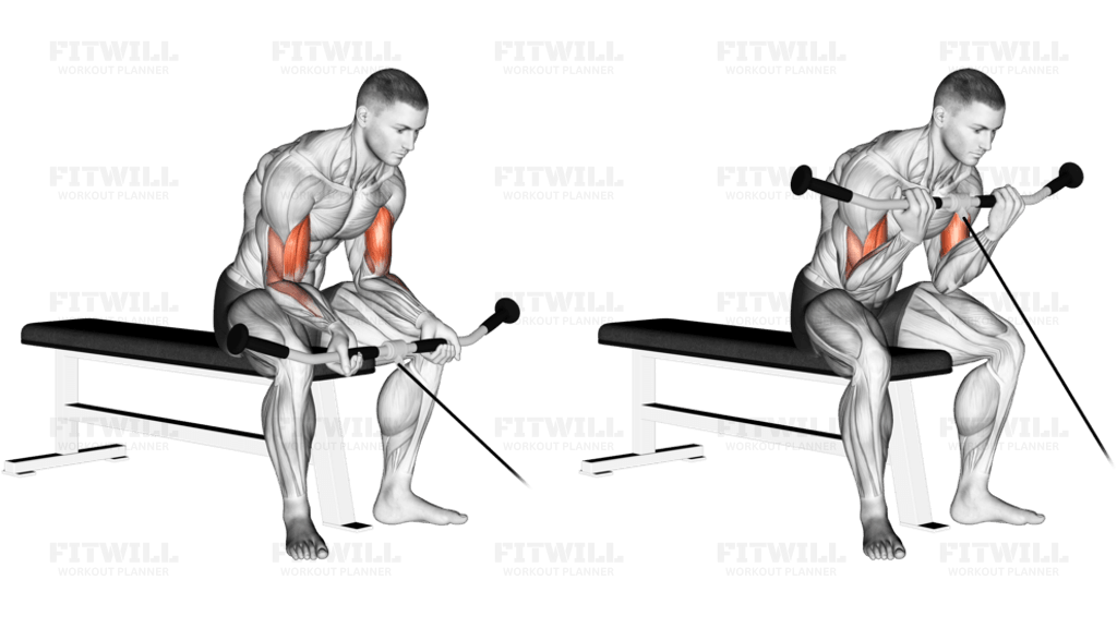 Cable Seated Curl