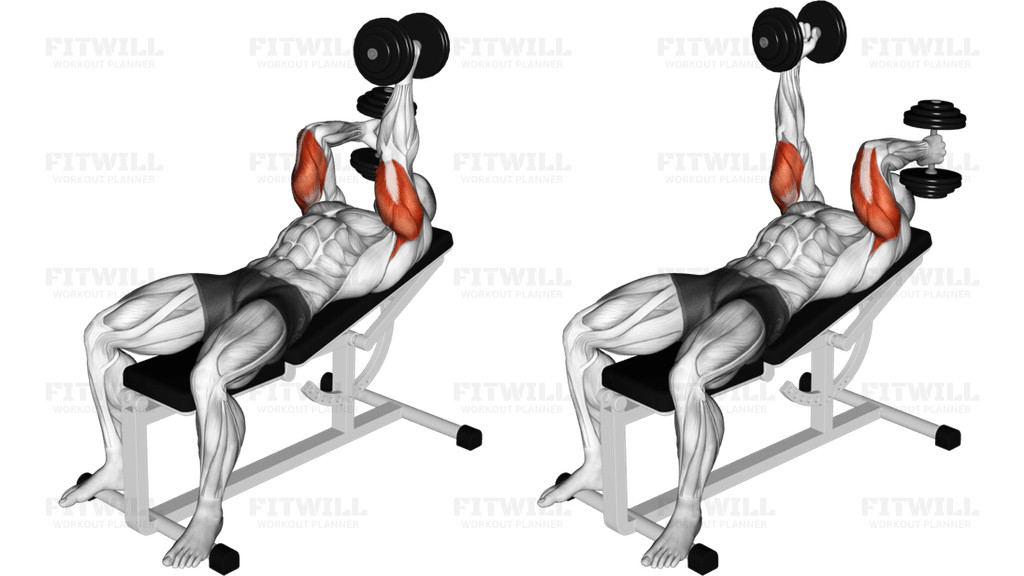 Dumbbell Lying Alternate Extension