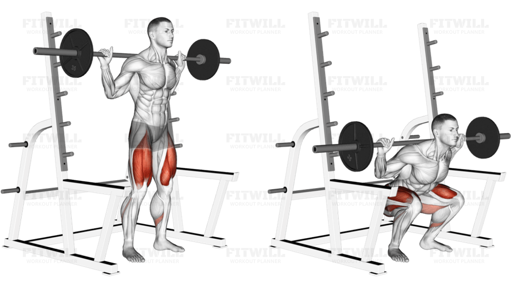 Barbell Low Bar Squat with Rack