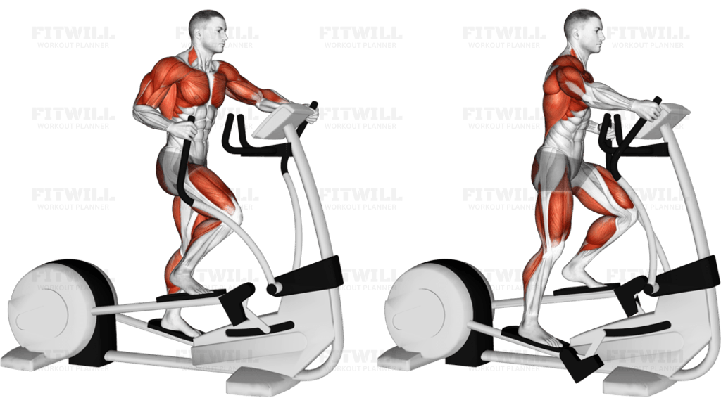 Walk Elliptical Cross Trainer