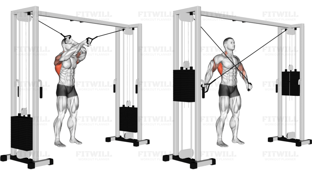 Cable Lat Pulldown Full Range Of Motion Guide, Techniques, Benefits