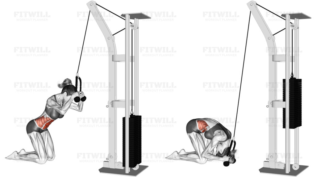 Cable Kneeling Crunch