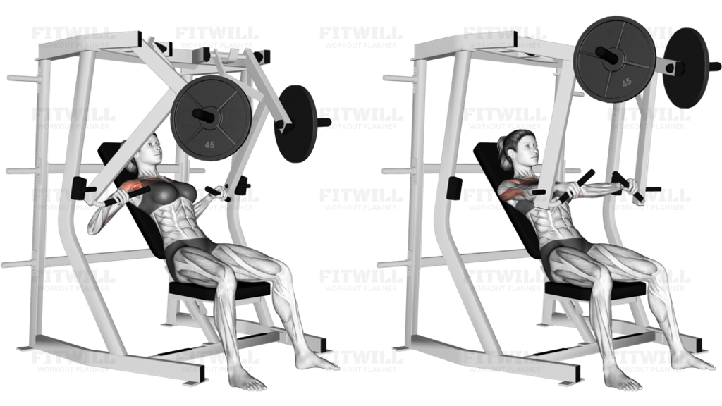 Lever Decline Chest Press