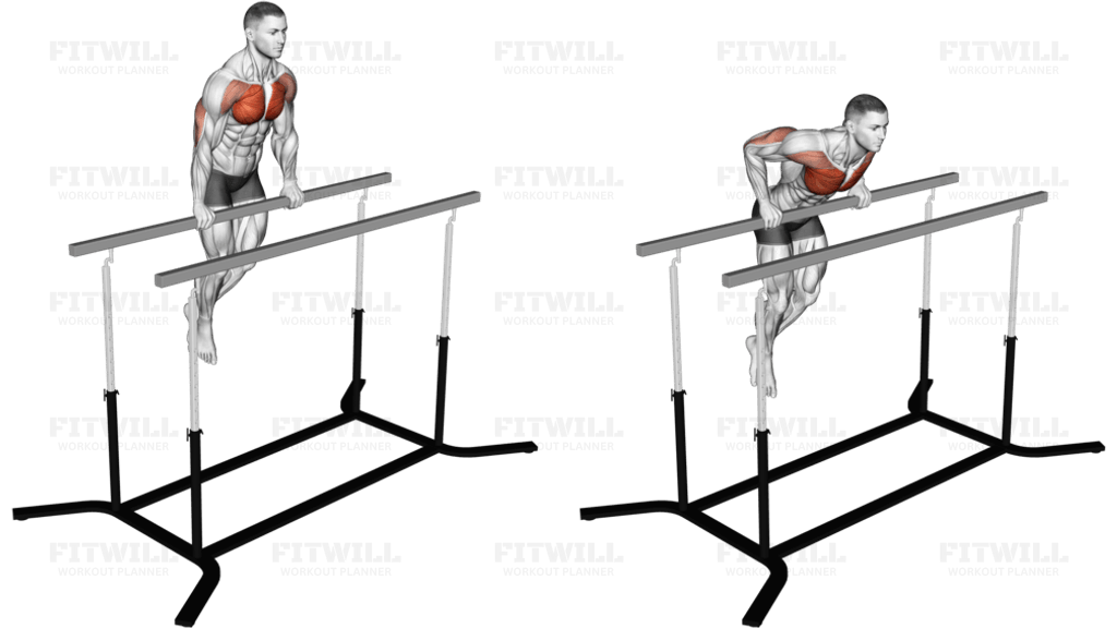 Chest Dip on Straight Bar