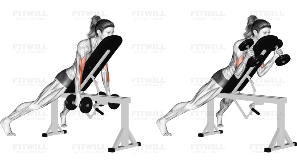 Dumbbell Prone Incline Hammer Curl