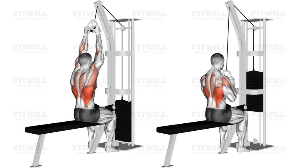 Cable Lateral Pulldown with V-bar